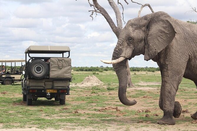 A 2 Day Victoria Falls & Chobe Safari Combo - Day two: Chobe National Park by vehicle and boat
