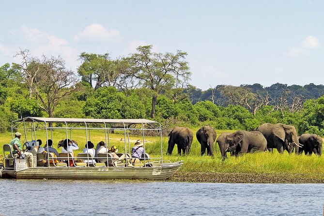 A 2 Day Victoria Falls & Chobe Safari Combo - Who should book this experience?