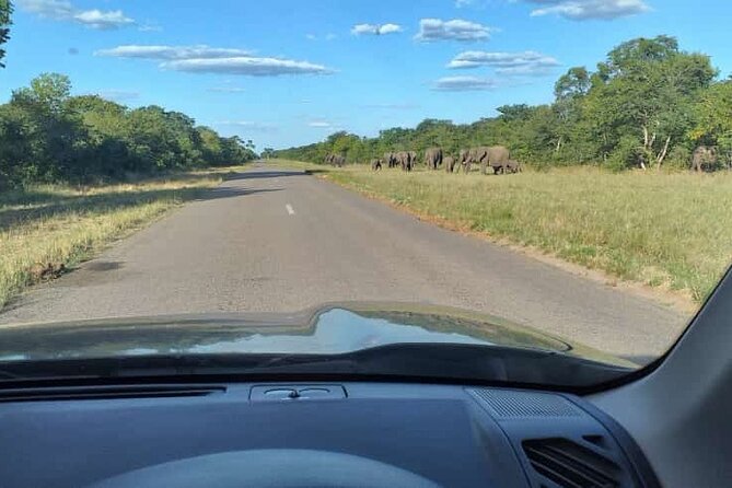 Airport, Hotel and local transfers in Victoria Falls - The airport road adds a small wildlife bonus