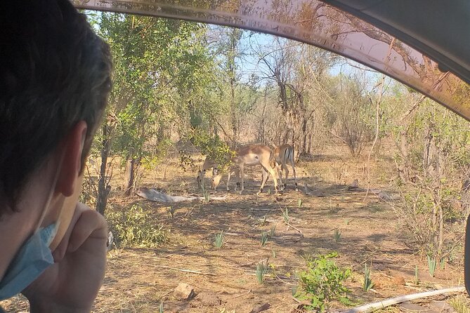 Airport, Hotel and local transfers in Victoria Falls - Choosing between a private and shared ride