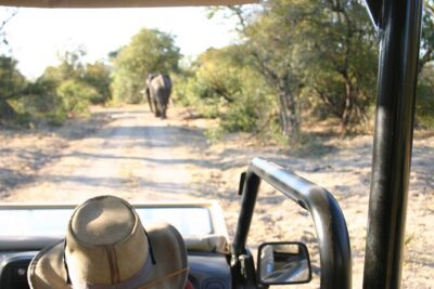 Baobab-Sunrise-Sunset-Vulture-Moonlight Safaris, 4 Options
