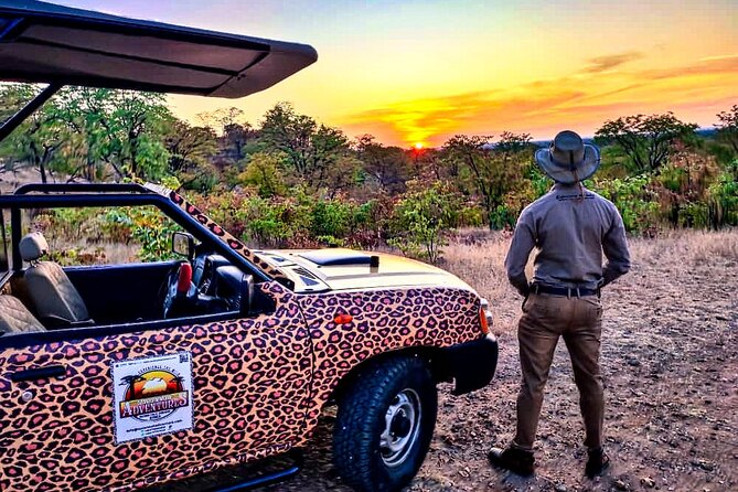 Baobab-Sunrise-Sunset-Vulture-Moonlight Safaris, 4 Options - What the $80 price gives you