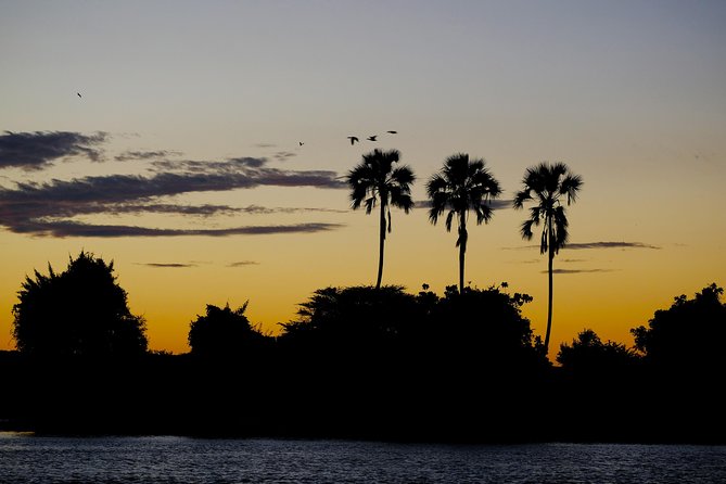 Birdwatching Cruise in Zambezi River with Breakfast - Breakfast on the water