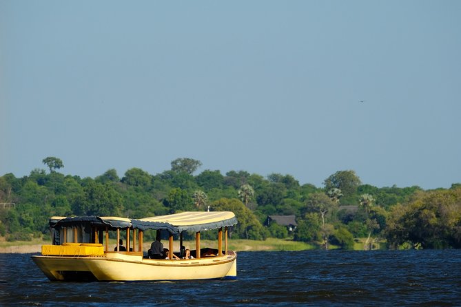 Birdwatching Cruise in Zambezi River with Breakfast - What the $85 price buys you