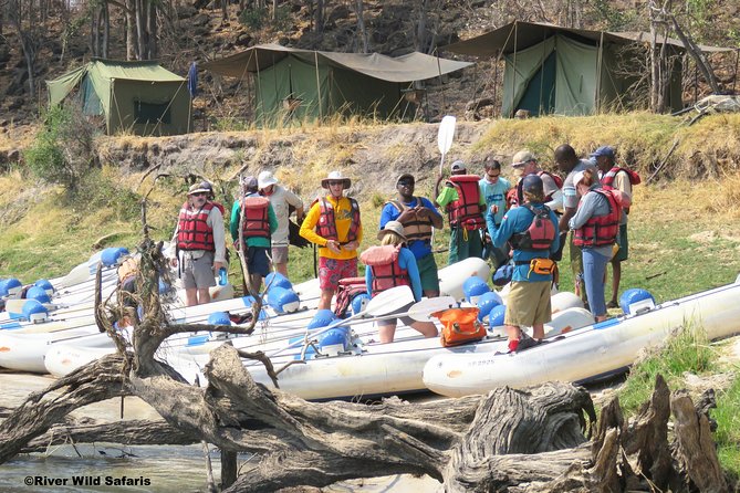 Canoeing Upper Zambezi 1 Day - River Wild Safaris - Key points to know before booking