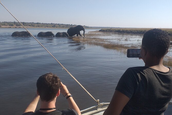 Chobe Botswana Full-Day Trip - The Chobe River cruise from about 1:00