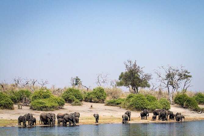 Chobe Day Trip - Lunch between the two safari activities