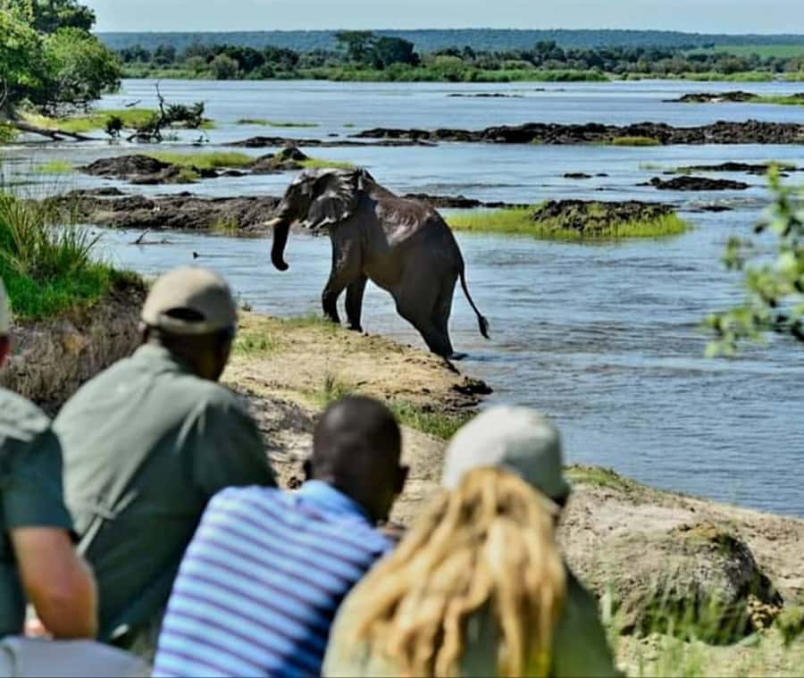 Chobe Day Trip - From Vic Falls - With Lunch (Buffet) - Buffet lunch and the middle of the day