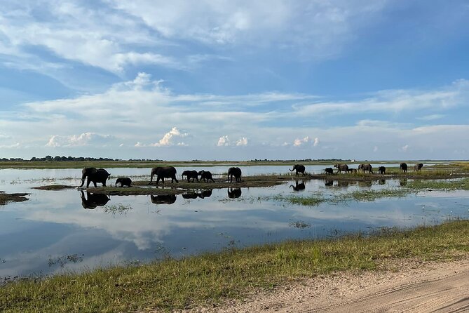 Chobe Day Trip from Victoria Falls - Why Chobe makes a strong day trip from Victoria Falls