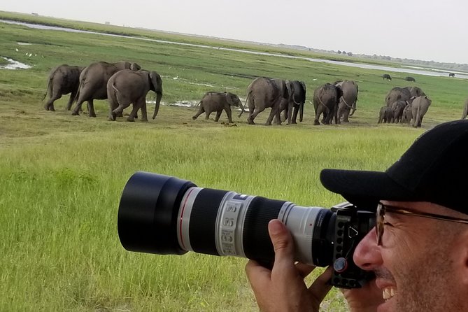Chobe Day Trip From Victoria Falls Zimbabwe - The afternoon game drive in Chobe National Park