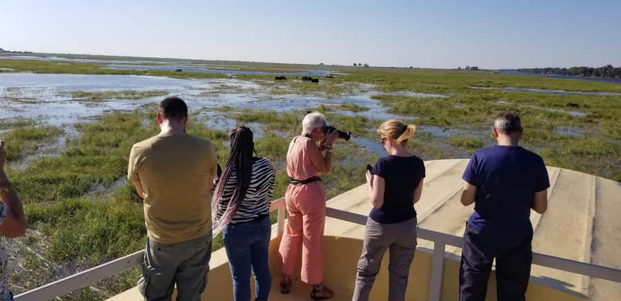 Chobe Day Trip from Victoria Falls, Zimbabwe - Is $170 per person good value?