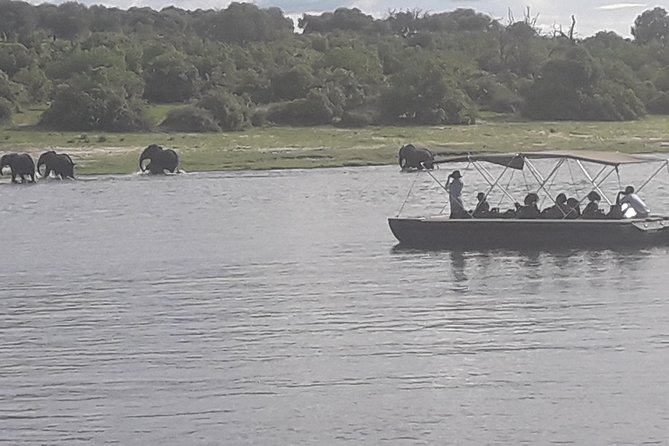 Chobe Day Trip Starting From Victoria Falls - Chobe’s wildlife list is broad, with elephants leading the cast