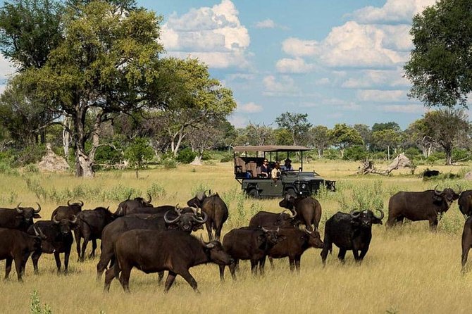 Chobe Day Trip Starting From Victoria Falls - The small group is worth paying attention to