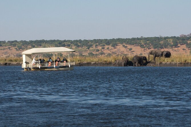 Chobe Day Trip - The 7:30 AM pickup and the trip to Kasane