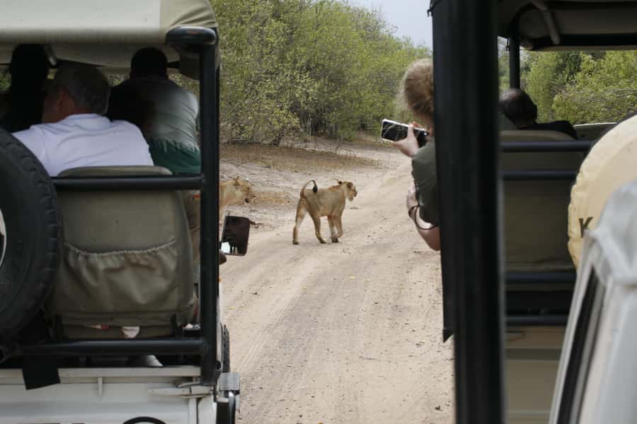 Chobe Extended Day Trip - Key points before you book
