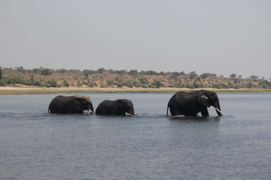 Chobe Extended Day Trip - The return drive and the real cost of a 15-hour day