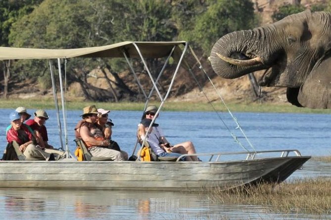 Chobe Extended Day Trip from Victoria Falls - Zimbabwe - Crossing into Botswana and reaching Chobe National Park