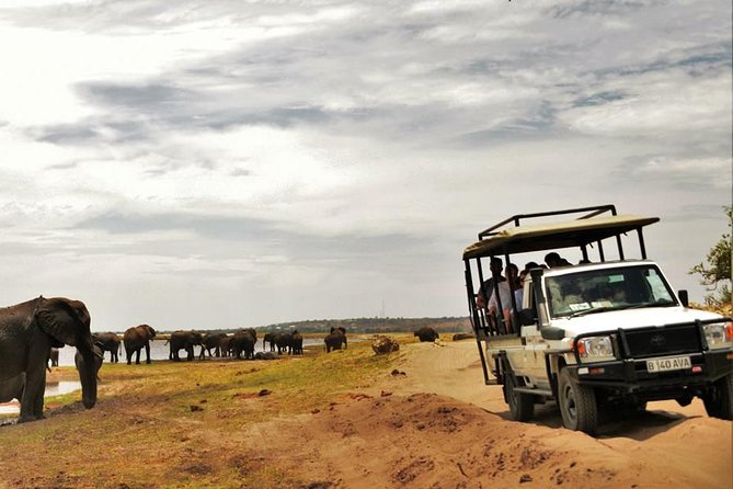 Chobe Extended Day Trip from Victoria Falls - Zimbabwe - Lunch at Chobe Safari Lodge and the long pause