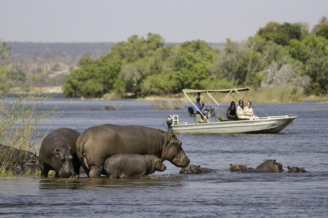 Chobe Extended Day Trip from Victoria Falls - Zimbabwe - The morning game drive, from 6:30 a.m. until lunch