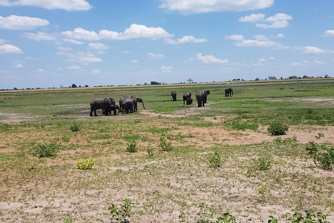 Chobe Full Day Safari in Chobe - Key points at a glance