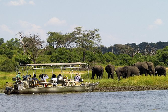 Chobe Full Day Safari Trip - Three hours on the Chobe River