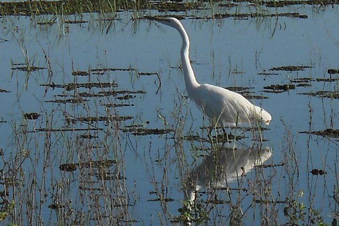 Chobe Full Day Safari Trip - Who will enjoy this safari most
