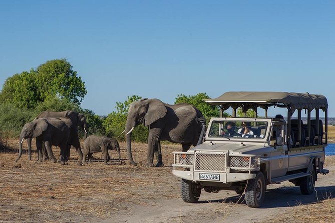 Chobe Full day Safari with Victoria falls Sunrise Tour Combo - Key points at a glance