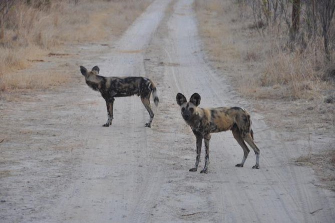 Chobe Full day Safari with Victoria falls Sunrise Tour Combo - Why combine Victoria Falls with Chobe?