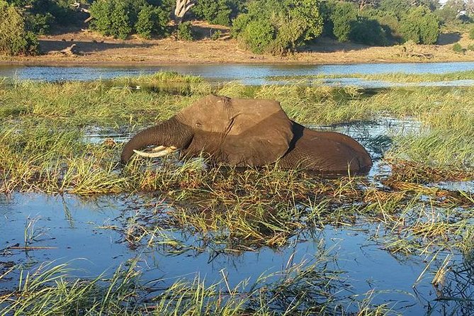 Chobe Full day Safari with Victoria falls Sunrise Tour Combo - Who will enjoy this long combination tour?