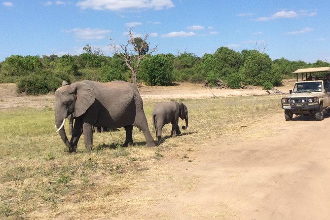 Chobe Full day Trip - Three hours around Sedudu Island by boat