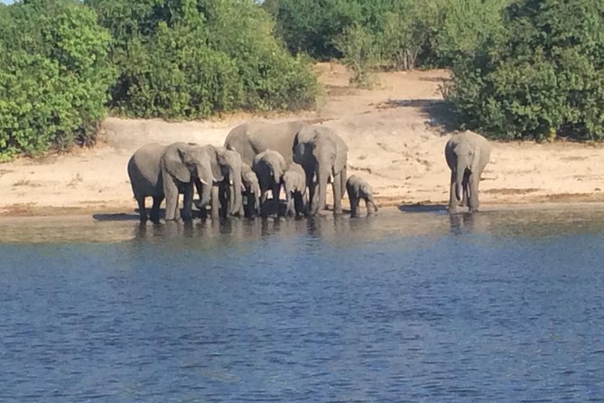 Chobe Full day Trip - What the $175 price really includes