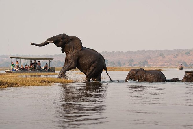 Chobe Full Day Trip From Victoria Falls - Why Chobe makes sense from Victoria Falls