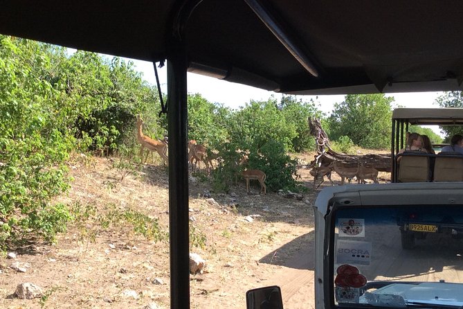 Chobe Full day Trip - Crossing Kazungula and changing vehicles