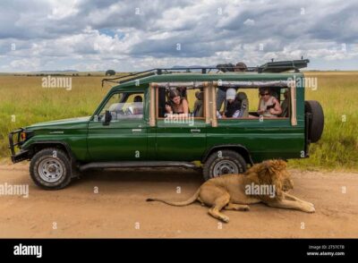 Chobe Half Day Trip from Victoria Falls