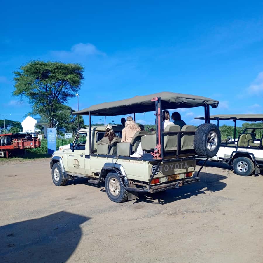 Chobe Half Day Trip from Victoria Falls - Guide quality and how to protect your experience
