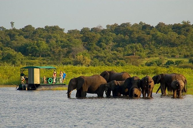Chobe National Park 4X4 Day Safari and River Cruise - Key points at a glance