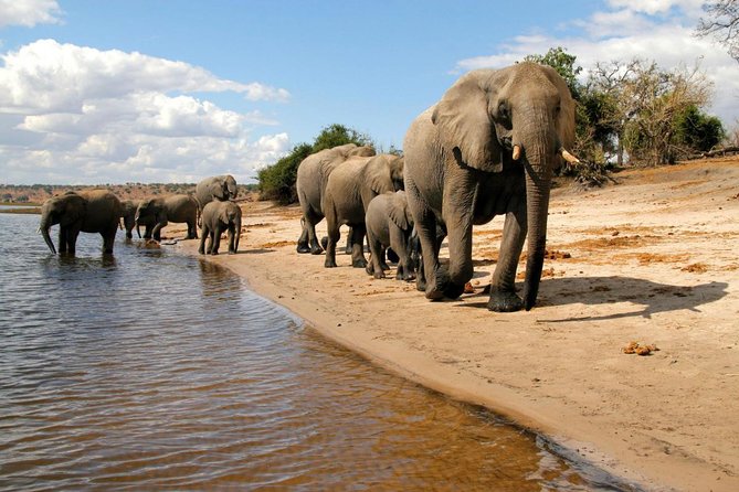 Chobe National Park 4X4 Day Safari and River Cruise - Three hours on the Chobe River