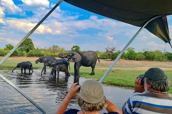 Chobe National Park Day Trip from Victoria Falls with Lunch - Why Chobe Works as a Day Trip from Victoria Falls