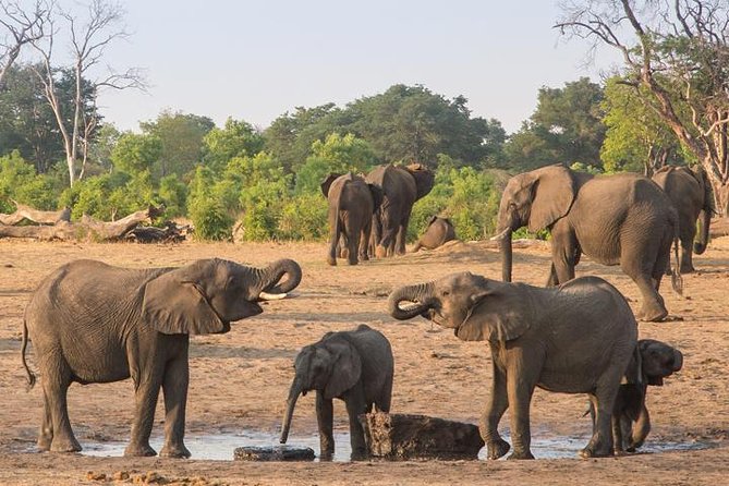Chobe National Park Full Day Safari (Botswana) - The boat cruise on the Chobe River