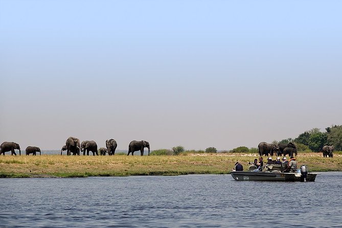 Chobe Sunrise upto Sunset Day trip from Victoria Falls 5AM - 7PM - Lunch and the gap before the river cruise