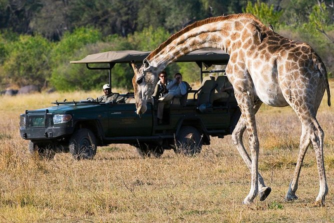Chobe Sunrise upto Sunset Day trip from Victoria Falls 5AM - 7PM - Wildlife highlights and what they mean