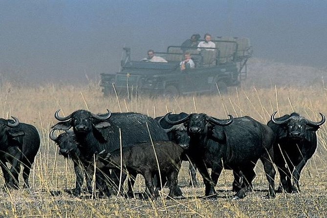 Chobe Sunrise upto Sunset Day trip from Victoria Falls 5AM - 7PM - Comfort, clothing, and practical preparation
