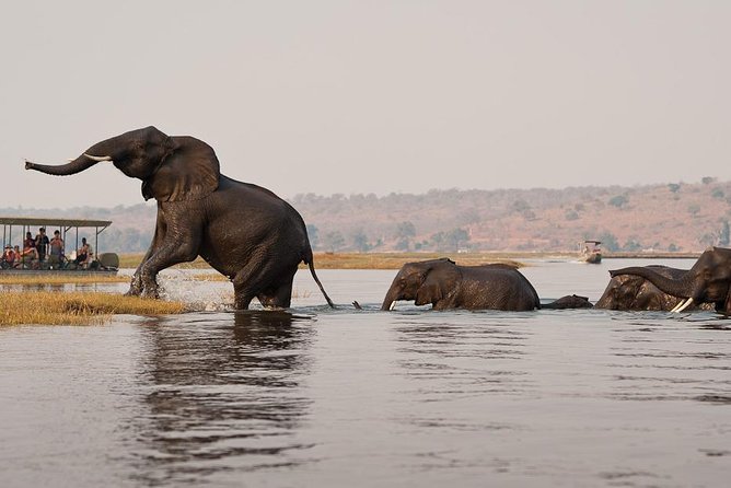 Chobe Sunrise upto Sunset Day trip from Victoria Falls 5AM - 7PM - Crossing from Zimbabwe into Botswana
