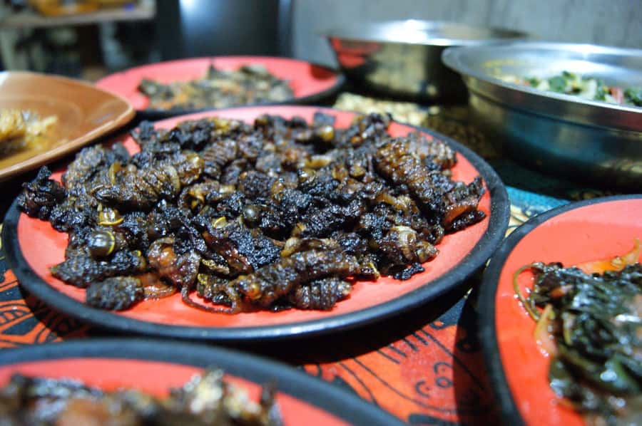 Cultural And Village Tour - Walking through the homesteads