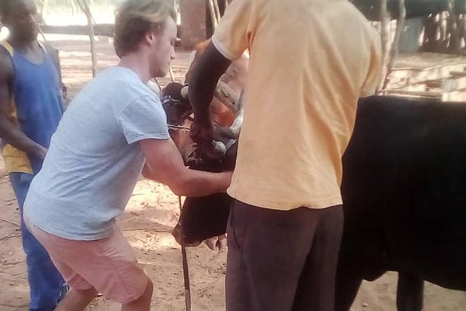 Cultural Village Tour,Interacting With the Communal Villagers (Educational Trip) - Handling the tour with the right expectations