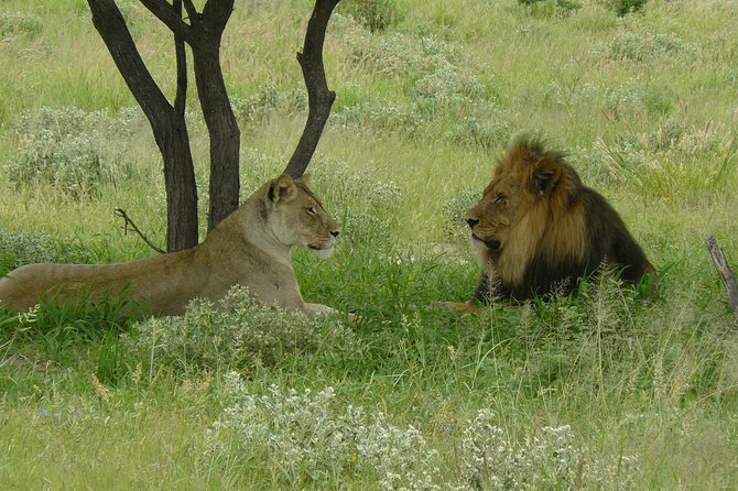 Exclusive full day Chobe game drive safari - The 5:00 AM departure from Victoria Falls