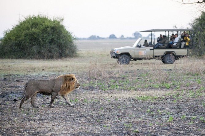 Explore Chobe National Park With a Day Trip from Victoria Falls - The Victoria Falls pickup and road to Botswana