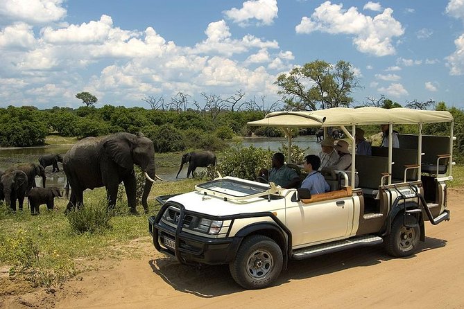 Explore Chobe National Park With a Day Trip from Victoria Falls - Lunch, drinks, and the break between safaris