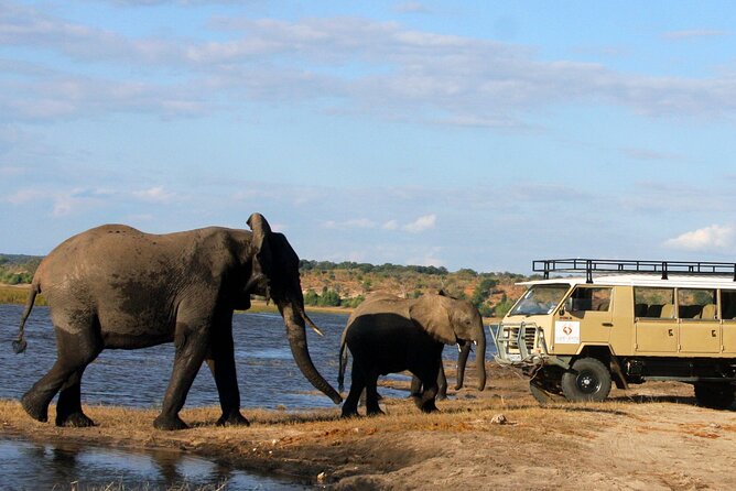 Explore Chobe National Park With a Day Trip from Victoria Falls - The three-hour afternoon game drive