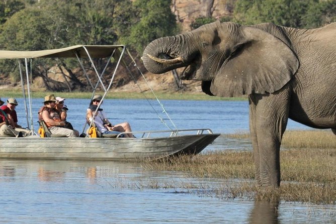 Explore Chobe National Park With a Day Trip from Victoria Falls - The two-hour Chobe River cruise